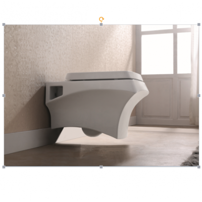 wall mounted toilet in restroom for shopping mall apartment project